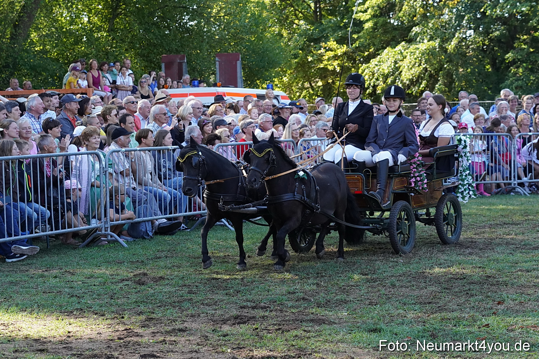 Pferde und Fohlenschau 2022 0088 